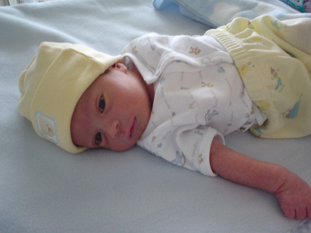 DSC00232.JPG